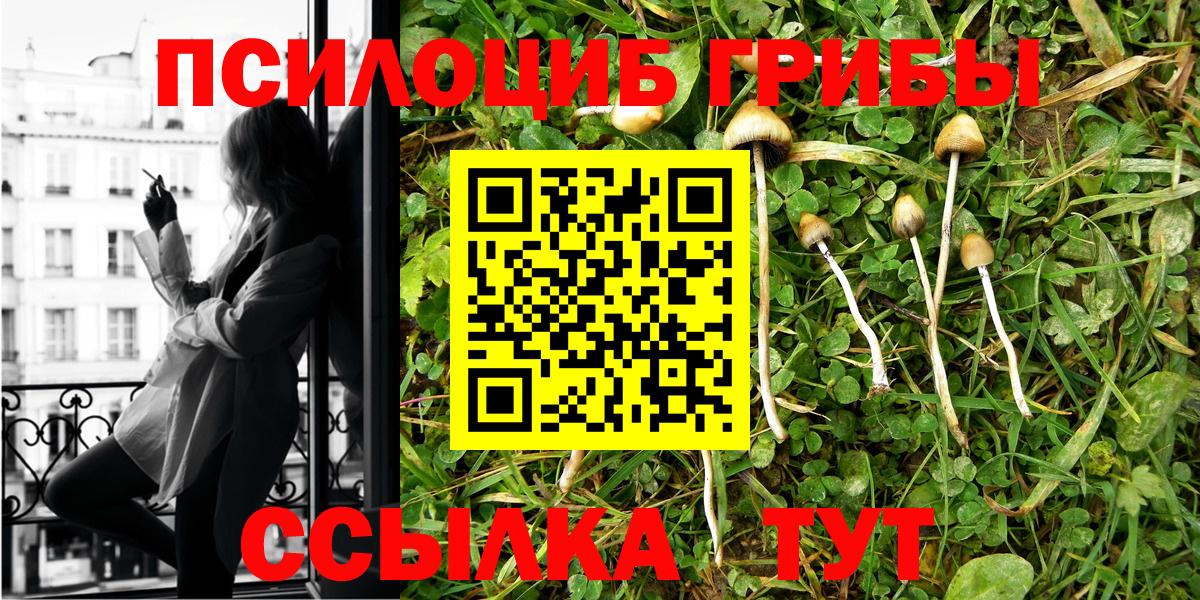 Донской  Псилоцибиновые грибы мицелий  Вход с VPN 